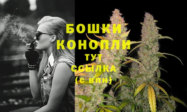 бошки Бородино