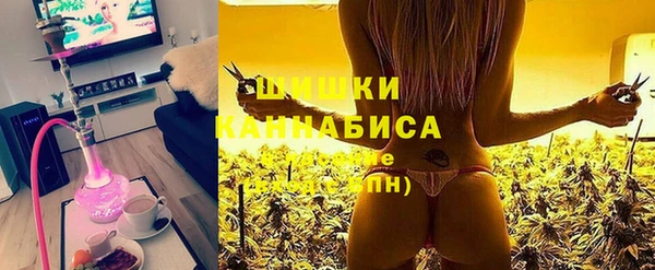 бошки Бородино
