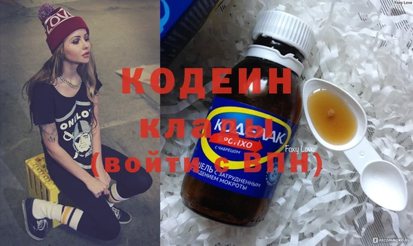 бошки Бородино