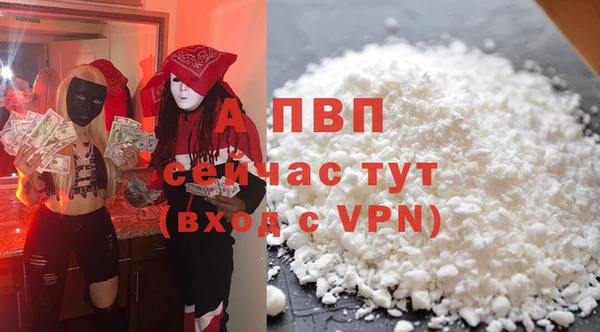 сатива Бронницы