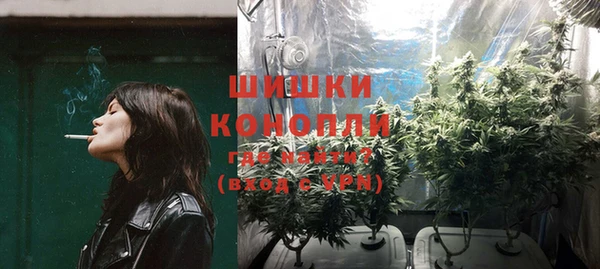 бошки Бородино