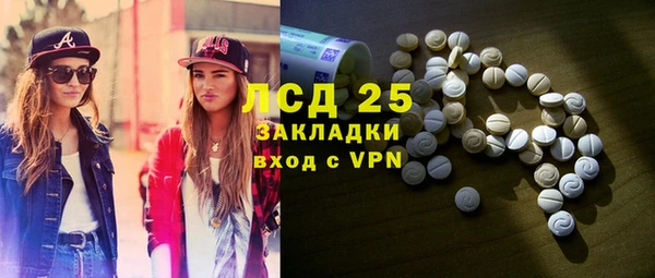 бошки Бородино