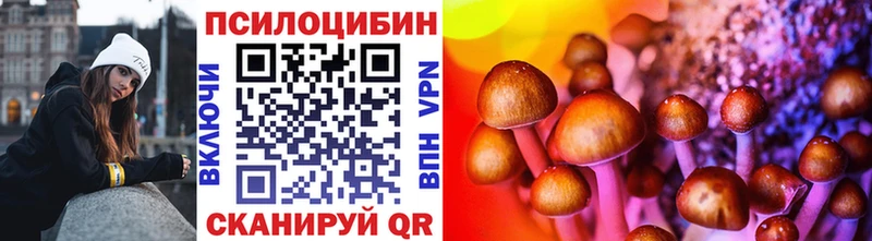 наркошоп  Бузулук  Псилоцибиновые грибы Psilocybine cubensis 